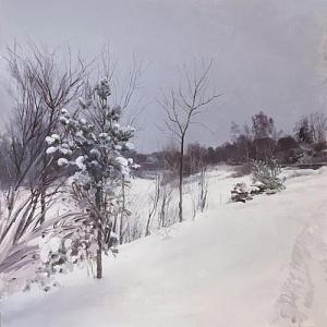 Зима в Комягино